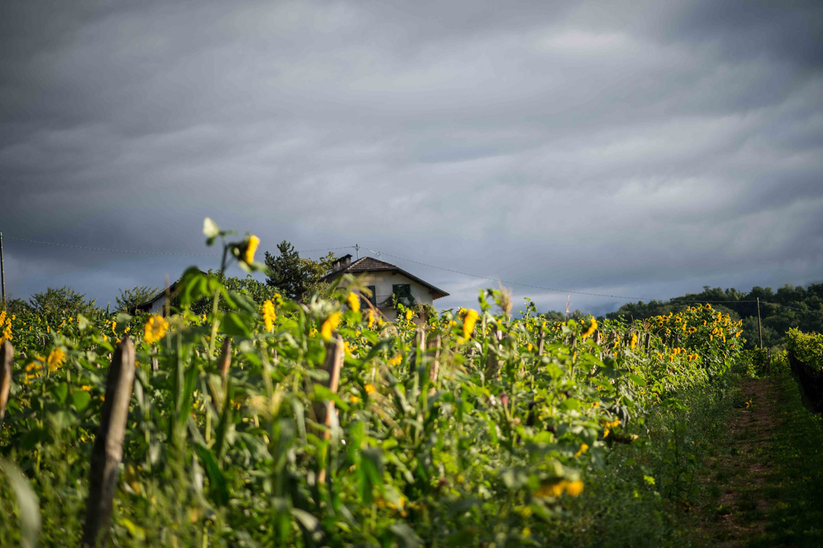 Tenuta Hof Gandberg